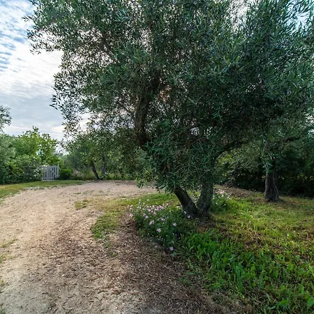A'roggia Farm Asfodelos בית נופש *